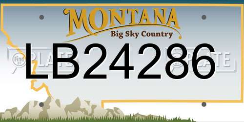 LB24286 Montana License Plate