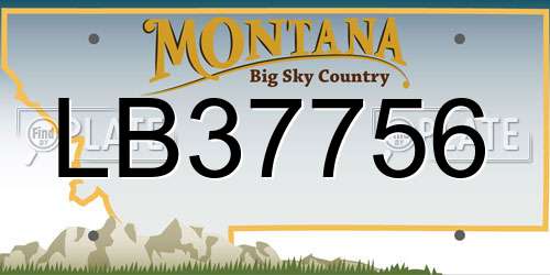 LB37756 Montana License Plate