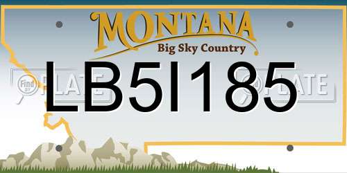 LB5I185 Montana License Plate