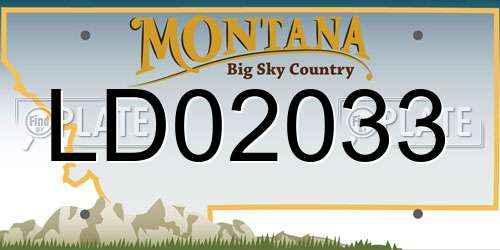 LD02033 Montana License Plate