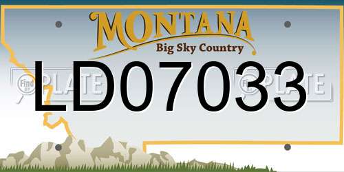 LD07033 Montana License Plate