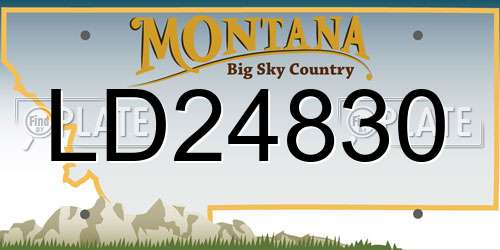 LD24830 Montana License Plate