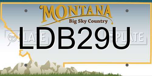 LDB29U Montana License Plate