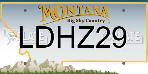 LDHZ29 Montana License Plate