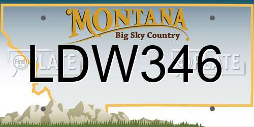 LDW346 Montana License Plate