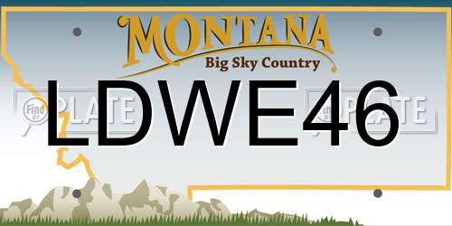 LDWE46 Montana License Plate