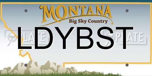 LDYBST Montana License Plate