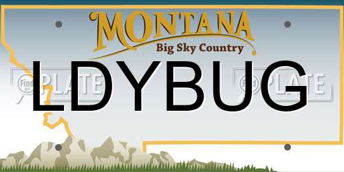 LDYBUG Montana License Plate