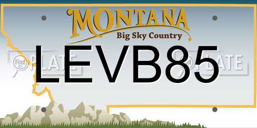 LEVB85 Montana License Plate