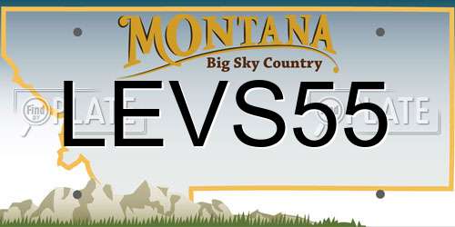 LEVS55 Montana License Plate