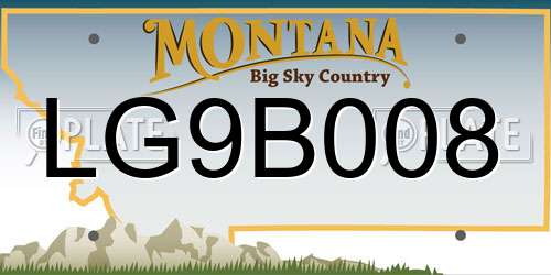 LG9B008 Montana License Plate