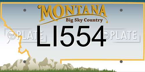 LI554 Montana License Plate