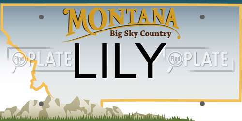 LILY Montana License Plate