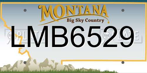 LMB6529 Montana License Plate