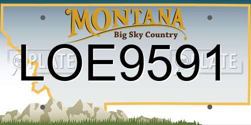 LOE9591 Montana License Plate