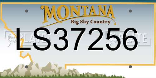LS37256 Montana License Plate