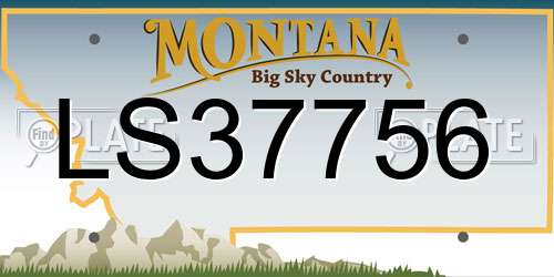 LS37756 Montana License Plate