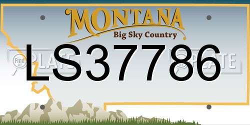 LS37786 Montana License Plate