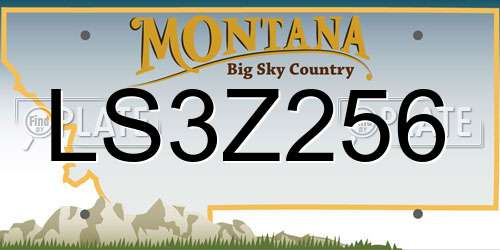 LS3Z256 Montana License Plate