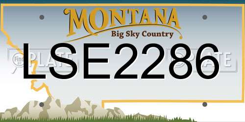 LSE2286 Montana License Plate