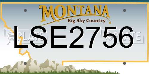 LSE2756 Montana License Plate