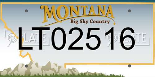 LT02516 Montana License Plate
