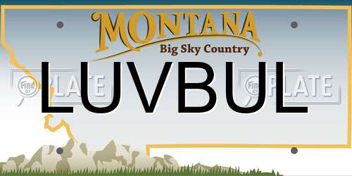 LUVBUL Montana License Plate