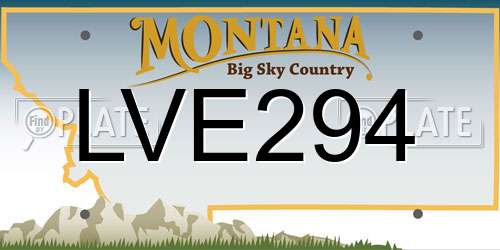 LVE294 Montana License Plate