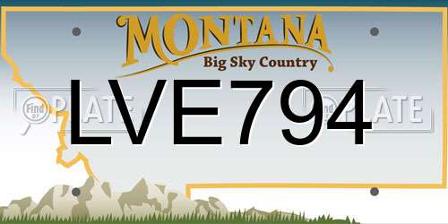 LVE794 Montana License Plate
