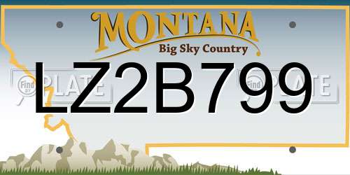 LZ2B799 Montana License Plate