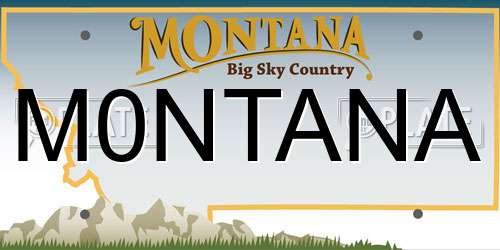 M0NTANA Montana License Plate