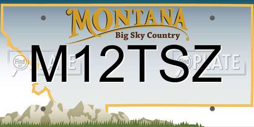 M12TSZ Montana License Plate