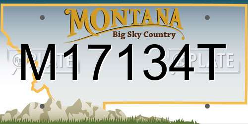 M17134T Montana License Plate