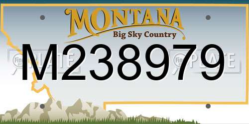 M238979 Montana License Plate