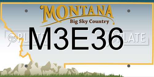 M3E36 Montana License Plate