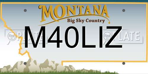 M40LIZ Montana License Plate