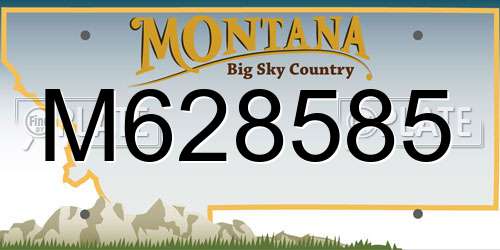 M628585 Montana License Plate