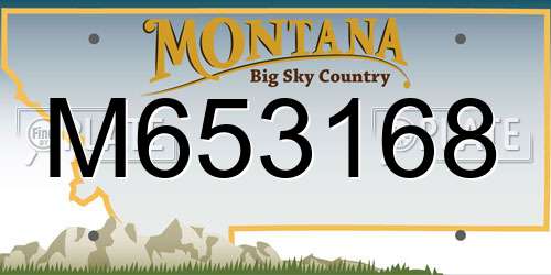 M653168 Montana License Plate
