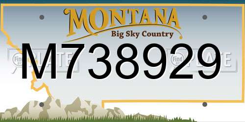 M738929 Montana License Plate