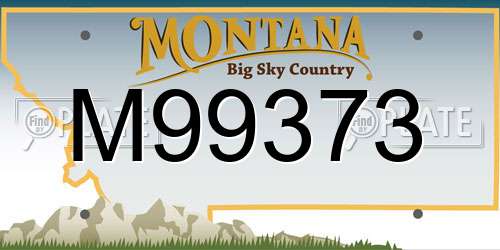 M99373 Montana License Plate