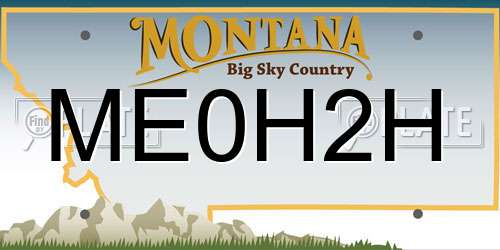 ME0H2H Montana License Plate