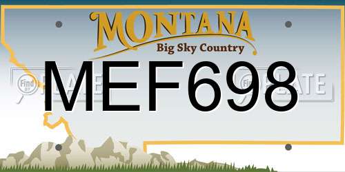 MEF698 Montana License Plate