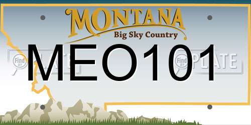 MEO101 Montana License Plate