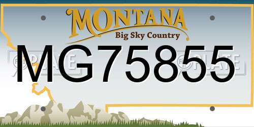 MG75855 Montana License Plate