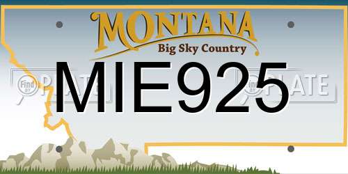 MIE925 Montana License Plate