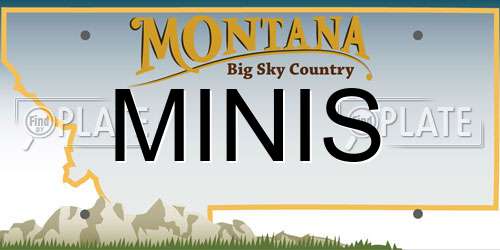 MINIS Montana License Plate