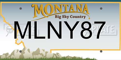 MLNY87 Montana License Plate