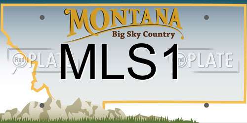 MLS1 Montana License Plate