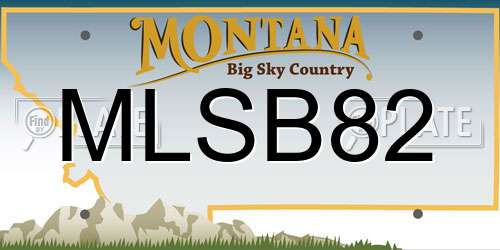 MLSB82 Montana License Plate