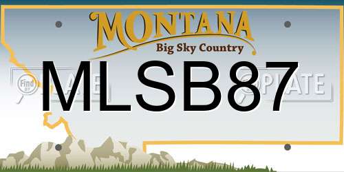 MLSB87 Montana License Plate